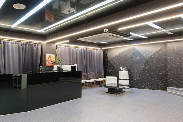 논현 아이콘스웨디시